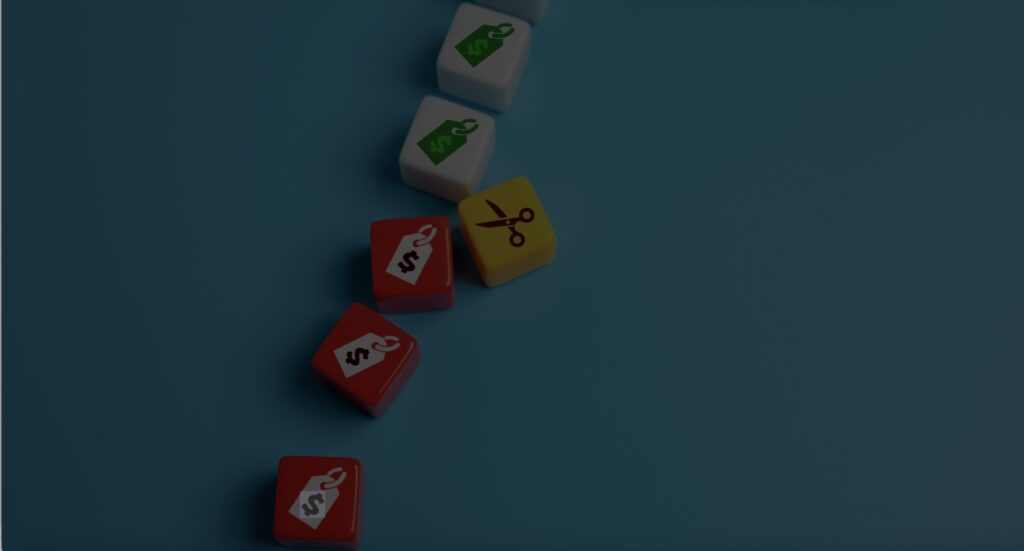 animated explainer video pricing plans